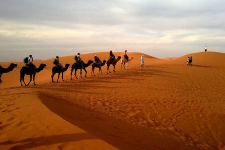 Camels - Human Riding Camel on Dessert Under White Sky during Daytime